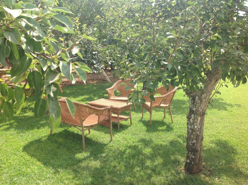 אוטרנטו Agriturismo L'Agrumeto מראה חיצוני תמונה